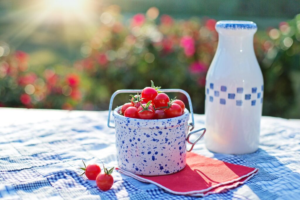 ピクニック画像