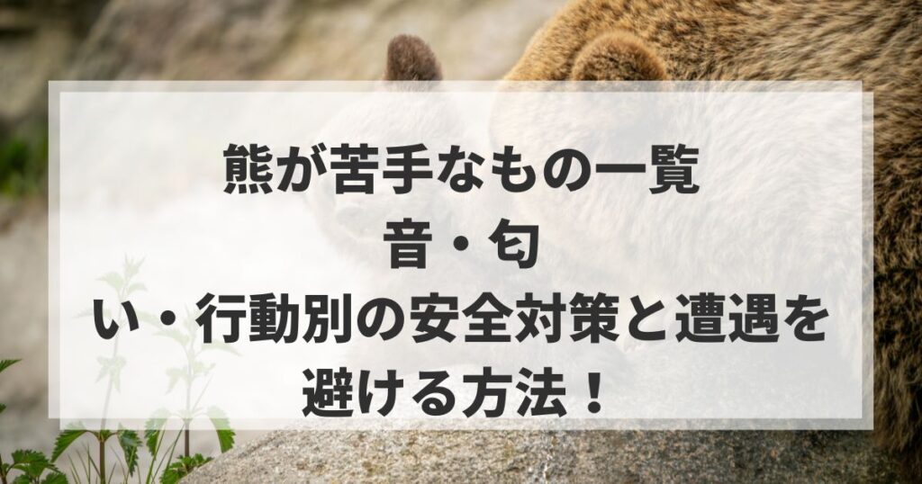 熊が苦手なもの一覧｜音・匂い・行動別の安全対策と遭遇を避ける方法！