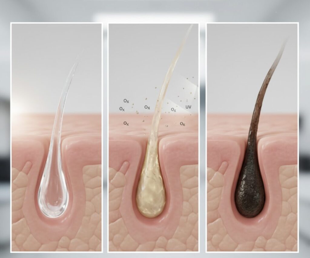 なぜ?時間が経つと毛穴が黒くなる「酸化」の全タイムライン